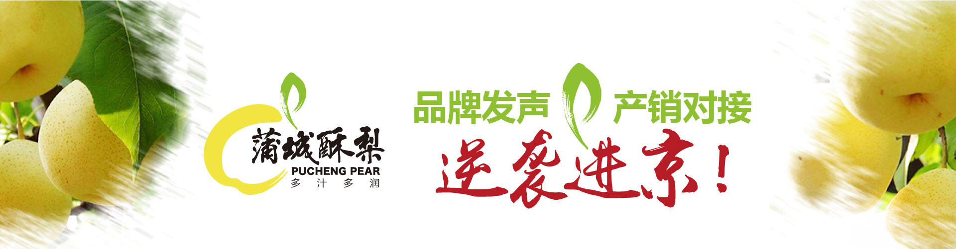 战略赋能区域公用品牌，点亮区域经济