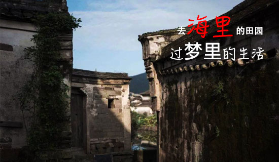 浙江舟山大鹏岛 无中生有的海里田园